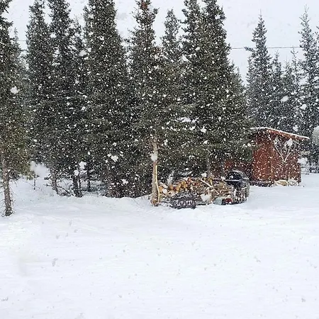 Alaskan Spruce Cabins Healy Exterior foto
