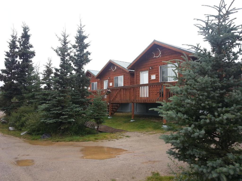 Alaskan Spruce Healy